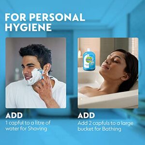 Dettol Disinfectant Liquid - 200 ml (Menthol Cool) - From India - Image 6