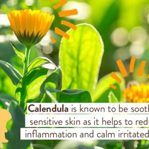 Babo Botanicals Moisturizing Lotion - Face & Body Plant-Based Lotion for Babies, Kids & Adults with Sensitive or Dry Skin - with Colloidal Oatmeal, Organic Calendula & Shea Butter - 8 fl. oz. - Image 4